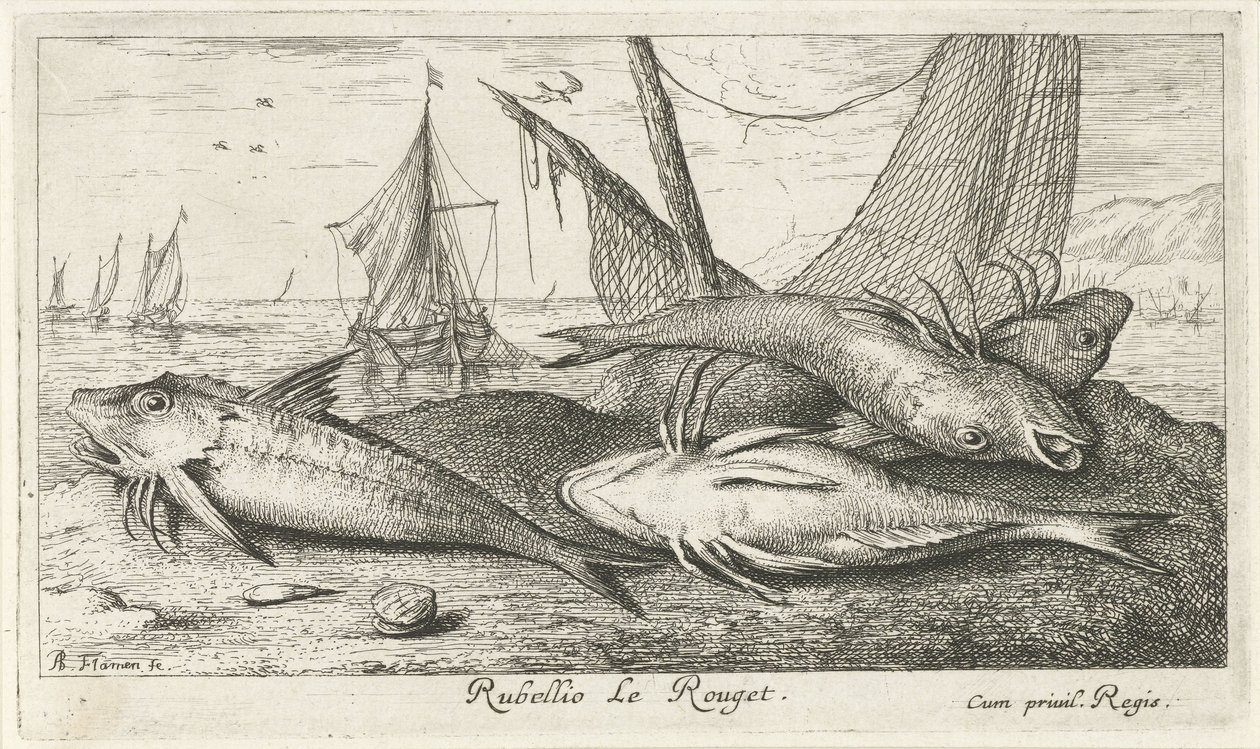 Fyra röda multar på stranden Rubellio Le Rouget. (titel på objekt) Fiskar och andra havsdjur - saltvattens andra serie (serietitel) Poissons de mer (serietitel) av Albert Flamen