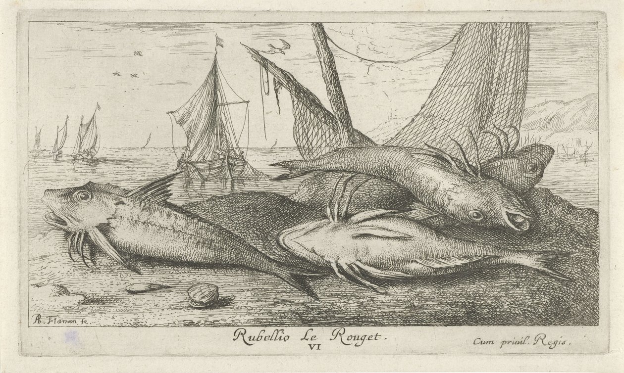 Fyra röda multar på stranden Rubellio Le Rouget. (titel på objekt) Fiskar och andra havsdjur - saltvattens andra serie (serietitel) Poissons de mer (serietitel) av Albert Flamen