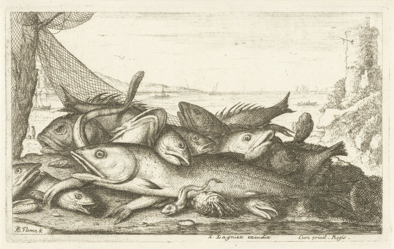 Eremitkräfta fiske Olika fiskarter (serietitel) Diverses Especes De Poissons tant de Mer, que d