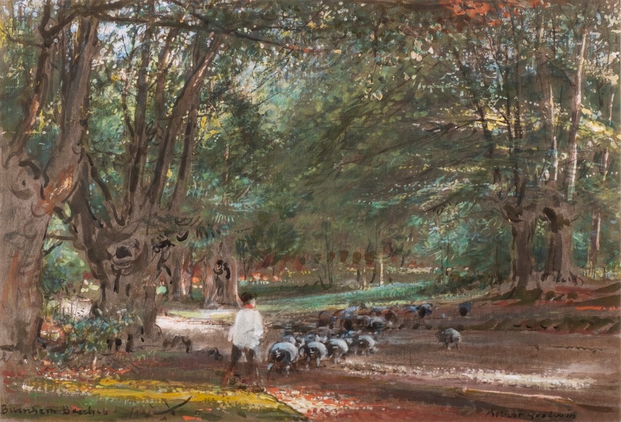 Burnham Beeches (akvarell och bodycolour) av Albert Goodwin