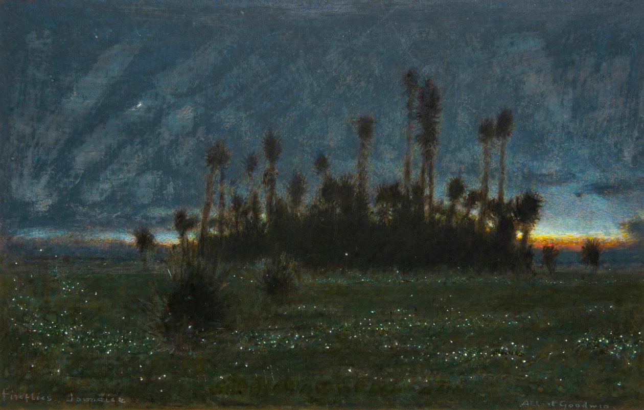 Eldflugor, Jamaica (akvarell med bodycolour) av Albert Goodwin