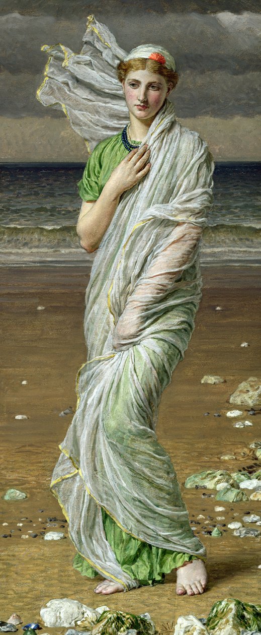 Snäckskal (olja på duk) av Albert Joseph Moore