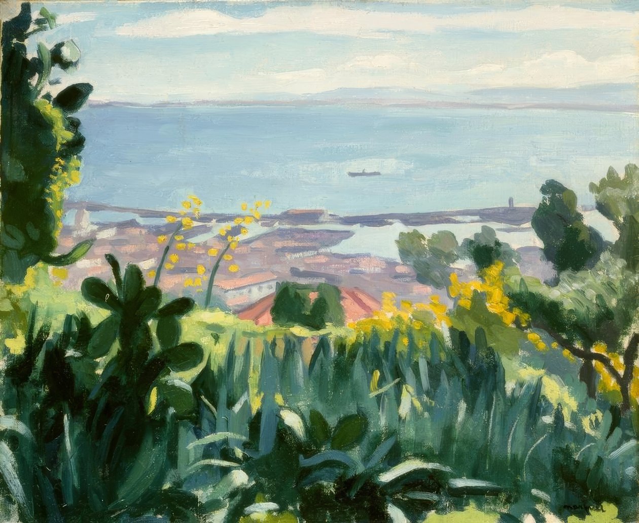 Alger - Utsikt från Mustaphas höjder av Albert Marquet