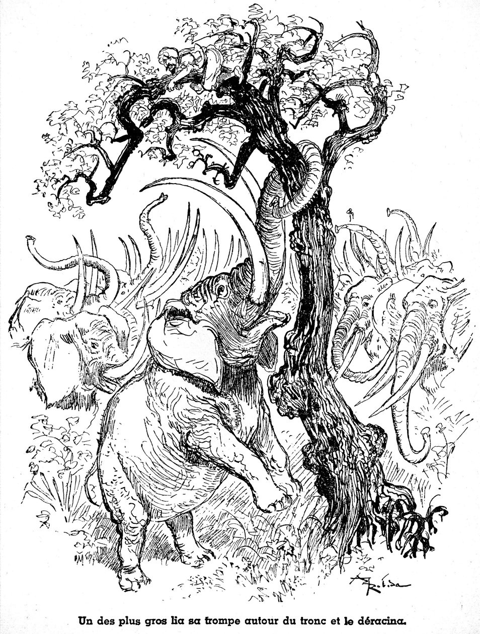 Sindbad sjömannen (Sinbad) - sagan om de tusen och en (1001) nätterna - illustration av en bok från 1948 (Fortin edition, Wonderful Imaging collection of childhood) som berättar om sina äventyr - illustration av Albert Robida (1848 - 1926) - Sjunde resan : av Albert Robida
