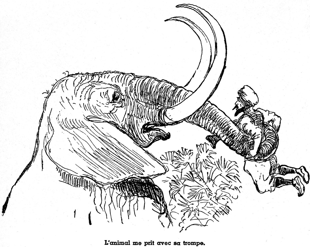 Sjömannen Sindbad (Sinbad) - berättelsen om de tusen och en (1001) nätterna - illustration av en bok från 1948 (Fortin-utgåvan, samlingen Barndomens underbara bilder) som berättar om hans äventyr - illustration av Albert Robida (1848 - 1926) - Sjunde resan av Albert Robida