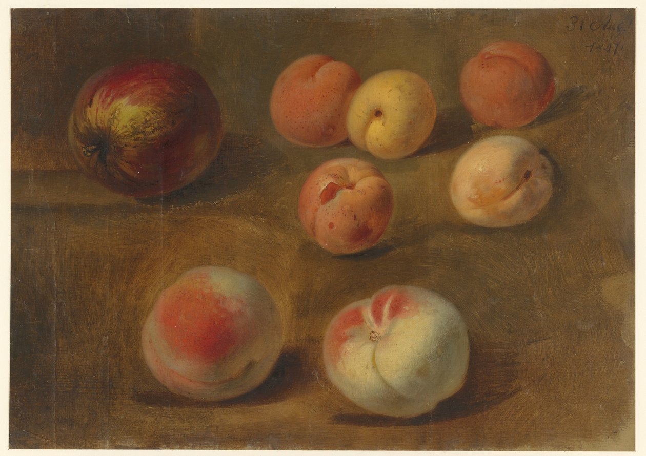 Stilleben med äpple, persikor och aprikoser av Albertus Steenbergen