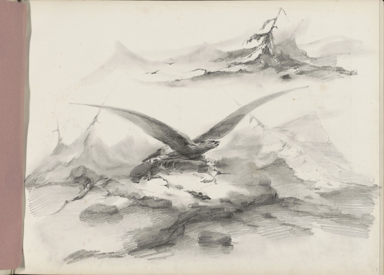 Örn som flyger över en kust med berg av Albertus van Beest