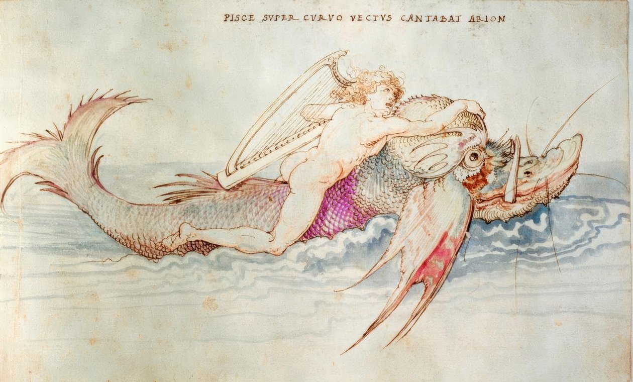 Arion räddas av en delfin av Albrecht Dürer