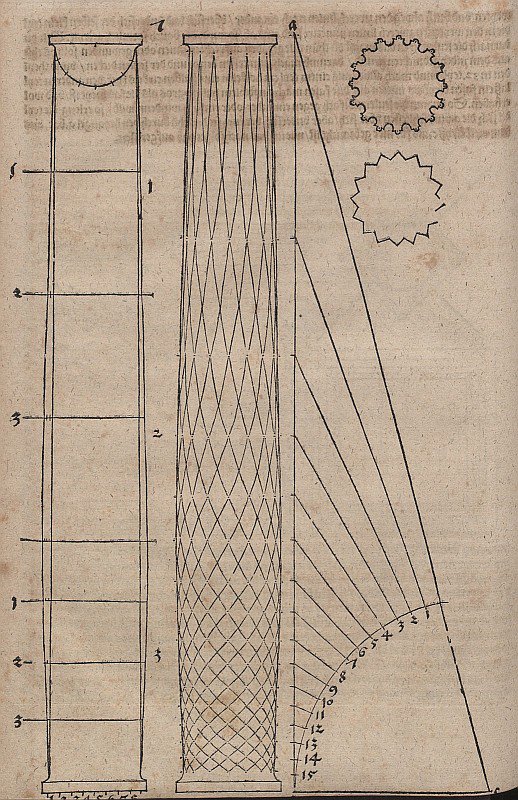 Bauchige Säulenform und Säulenquerschnitte av Albrecht Dürer