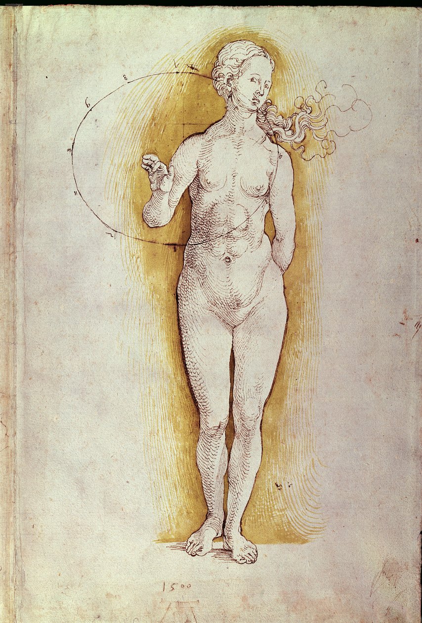 Naken kvinna (penna och bläck på papper) av Albrecht Dürer