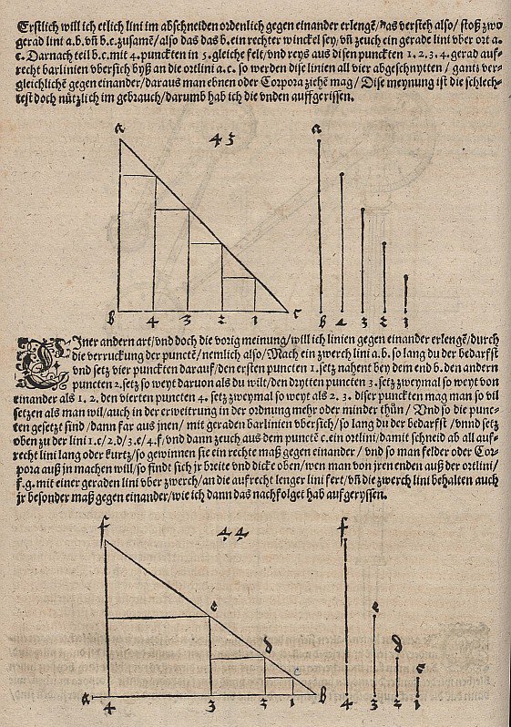 Graphisches Bild einer linearen Funktion und einer exponentiellen Funktion av Albrecht Dürer