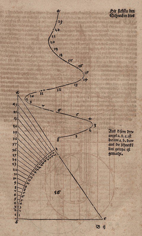 Konische Spirale ohne Hilfslinien av Albrecht Dürer