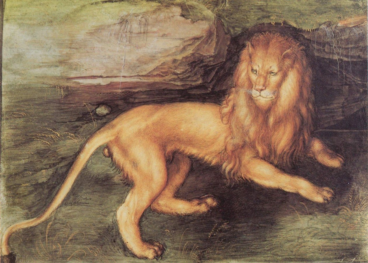 Löwe av Albrecht Dürer