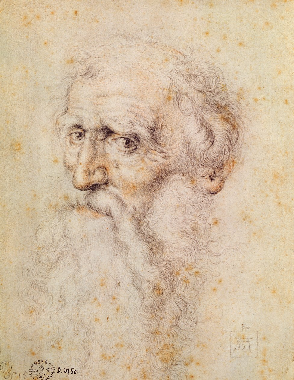 Porträtt av en skäggig gammal man (röd krita och pierre noire) av Albrecht Dürer