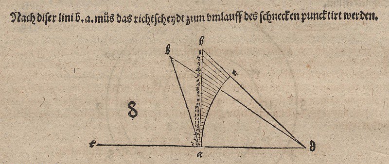 Tangens-Spirale und Verwandte av Albrecht Dürer