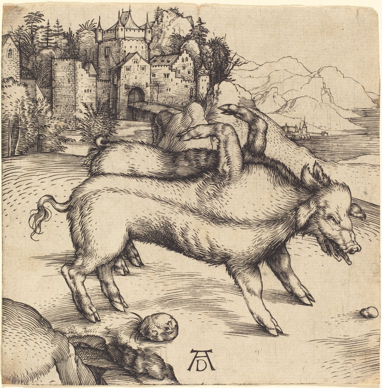 Den monstrous grisen av landser av Albrecht Dürer