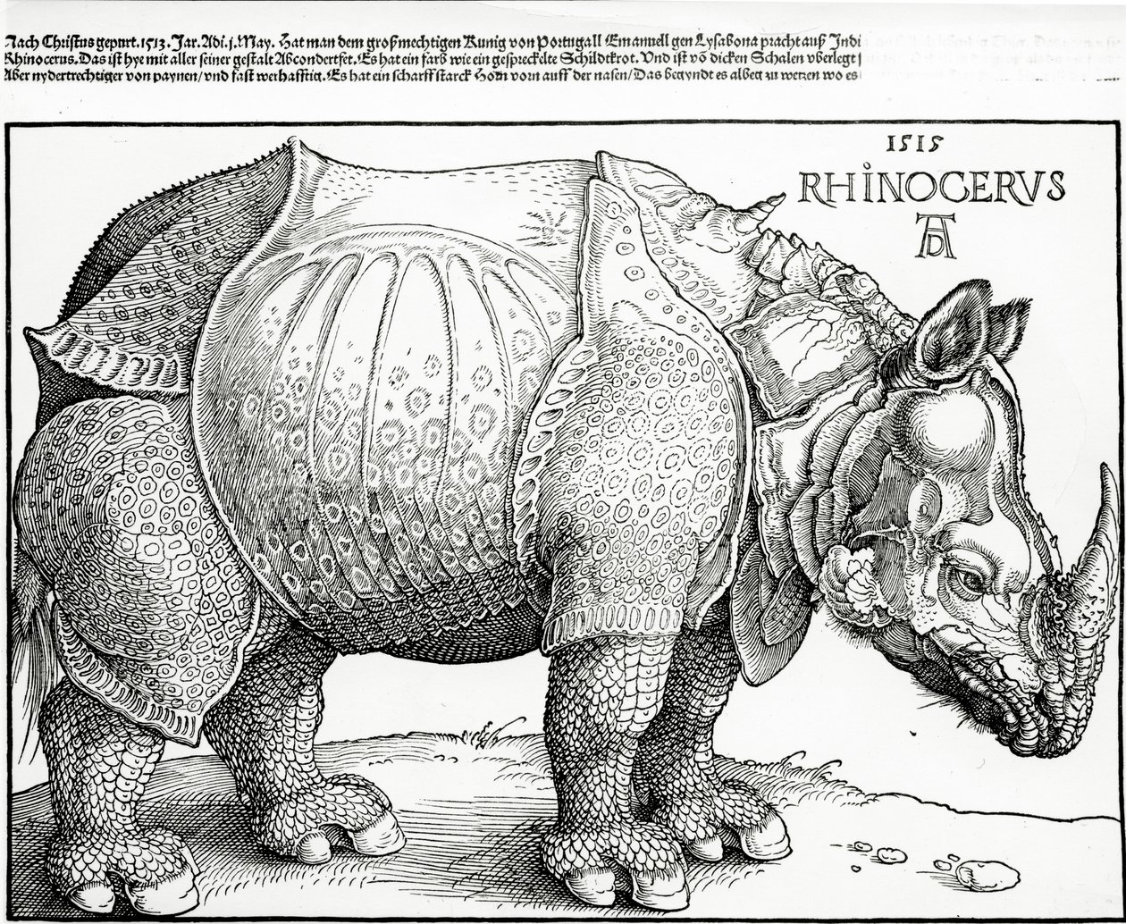 Noshörningen, 1515 av Albrecht Dürer