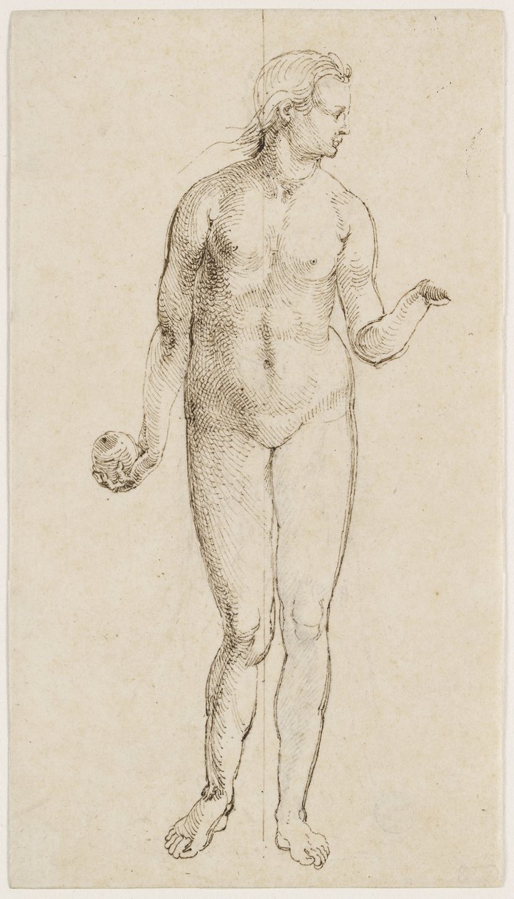 Eve (penna och bläck på papper) av Albrecht Dürer