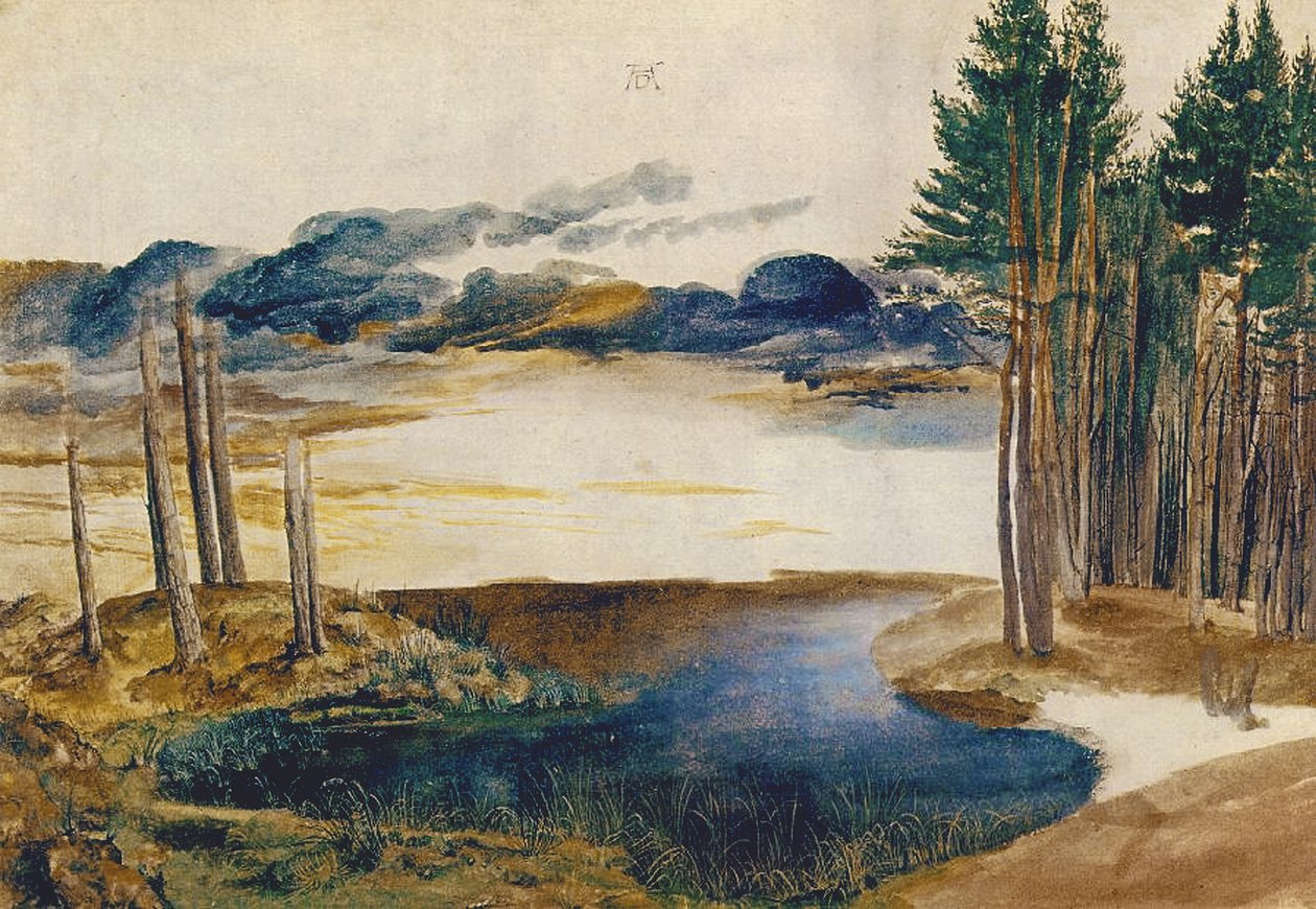 Pond in the Wood, c.1496 (wc und gouache på papper) av Albrecht Dürer