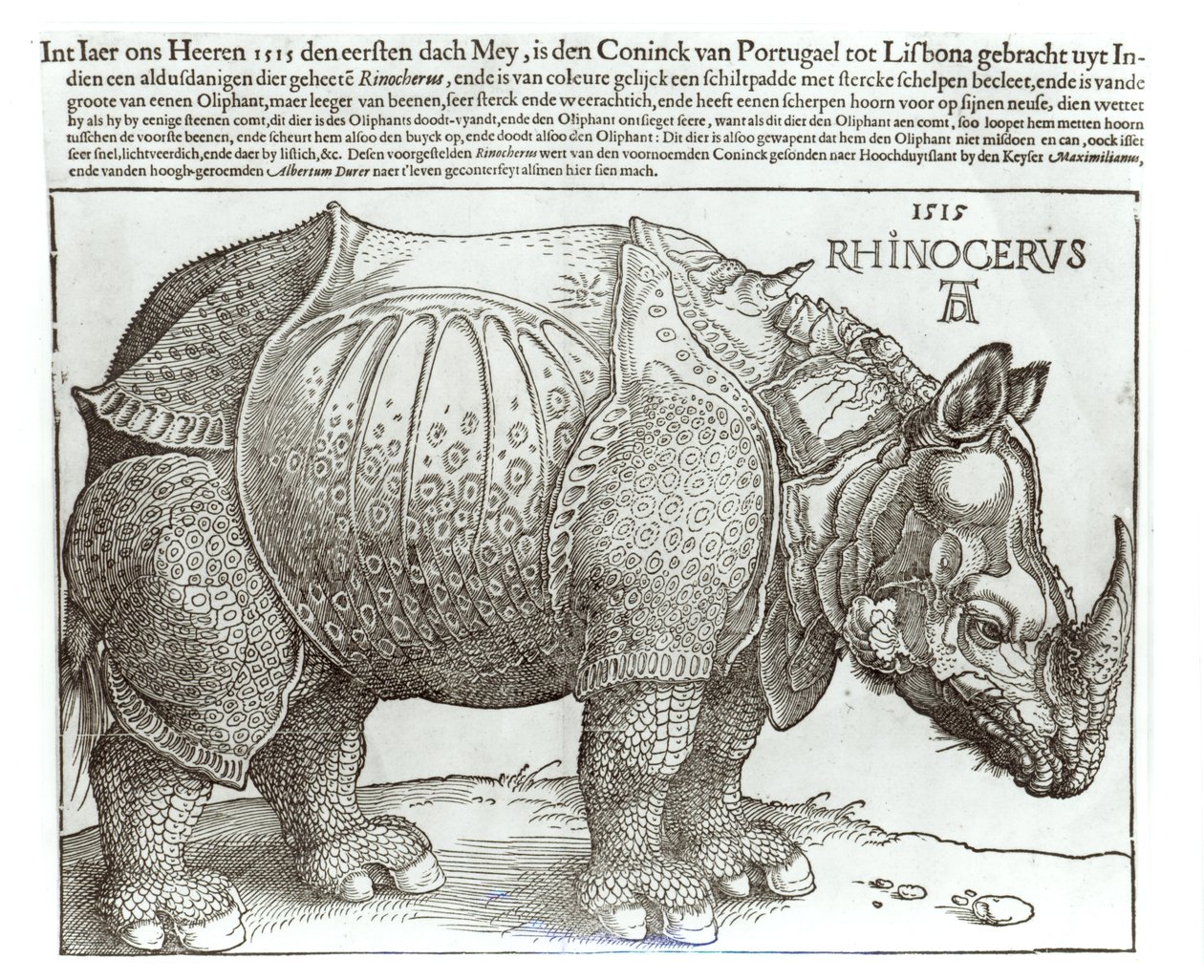 Noshörning, tryck ges till Maximilian I (1459-1519) av kungen av Lissabon (1495-1521), 1515 av Albrecht Dürer