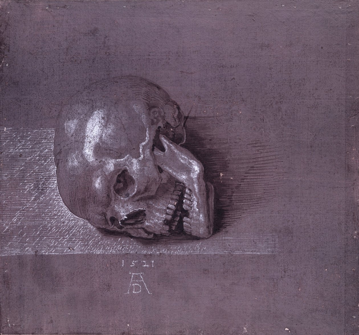 Studie av en mänsklig skalle, 1521 (penna och bläck och krita på papper) av Albrecht Dürer