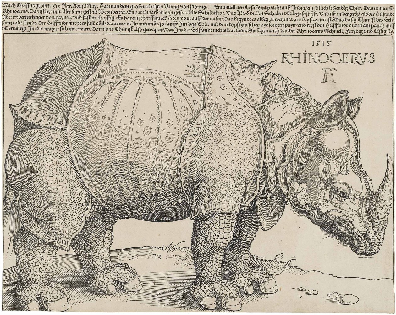 Noshörningen, 1515 av Albrecht Dürer