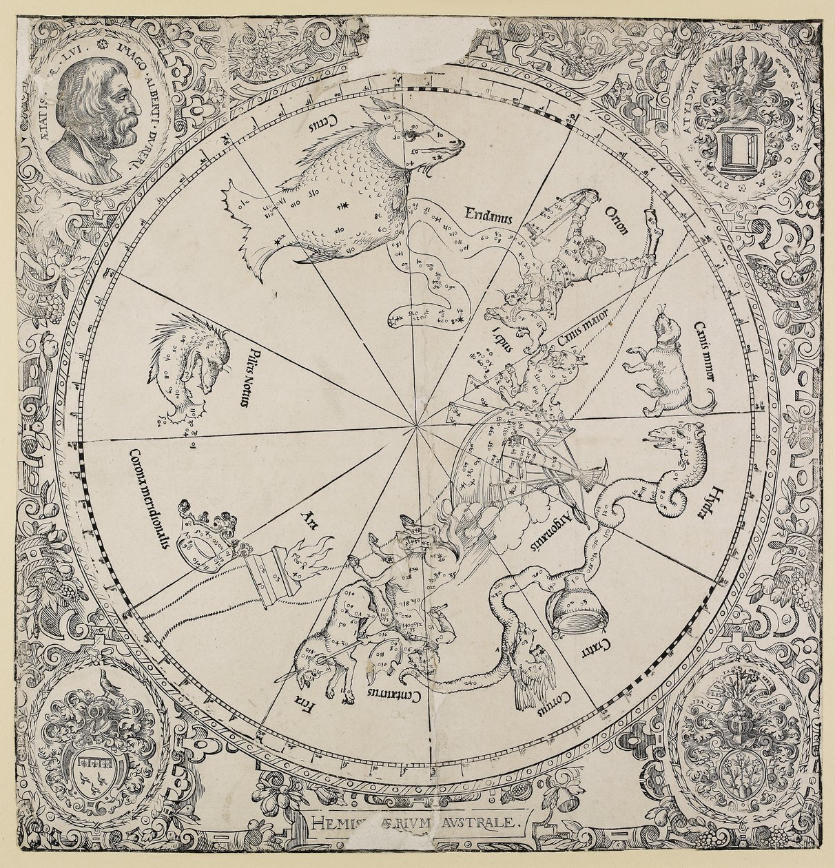 Det himmelska kortet på södra halvklotet av Albrecht Dürer