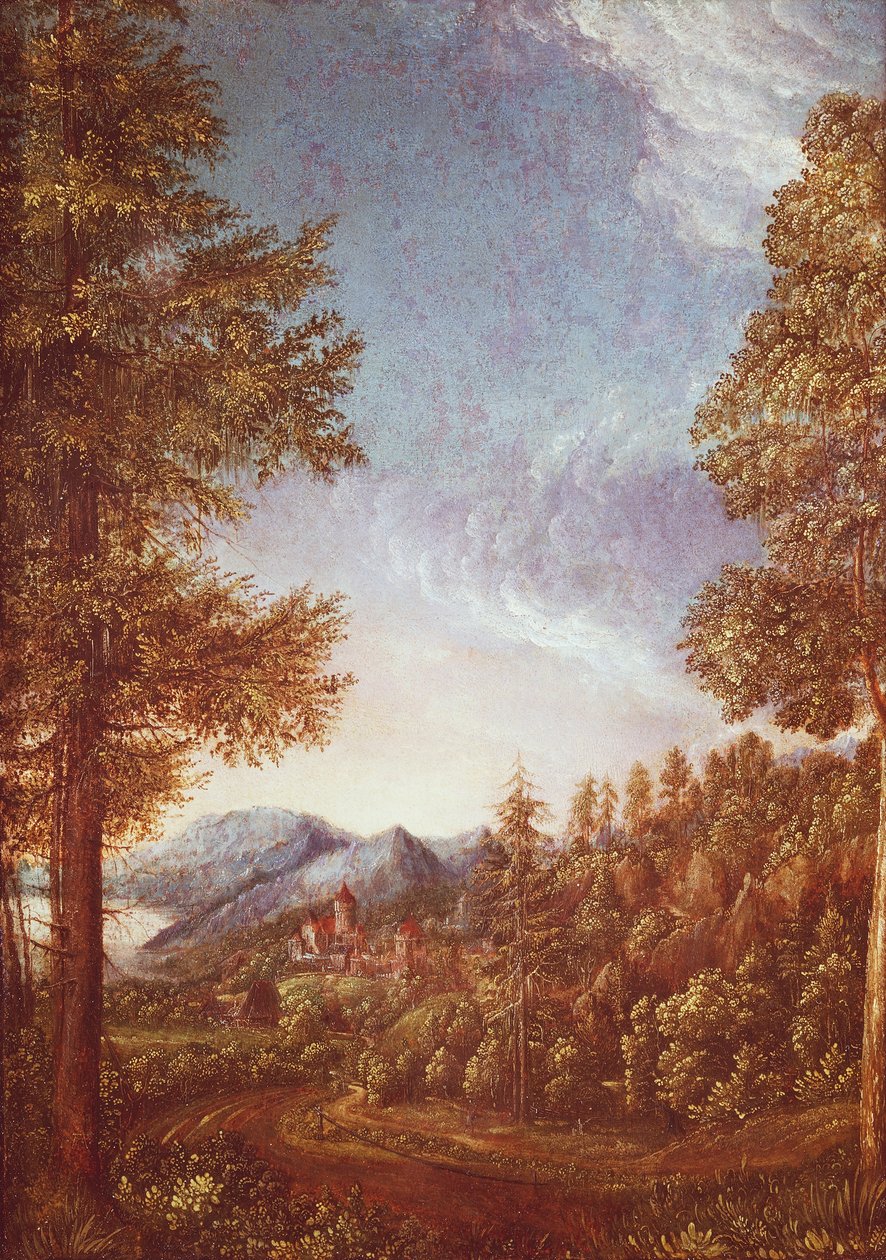 Donaulandskap med Castle Worth, ca 1522-25 (pergament på bok) av Albrecht Altdorfer
