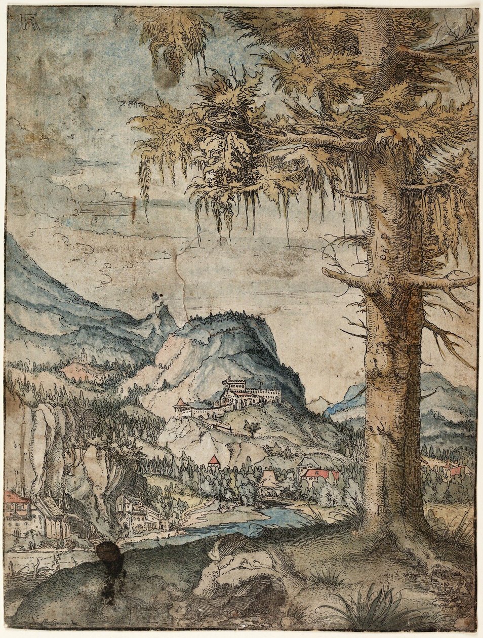 Tyska: Den stora granen Stor gran av Albrecht Altdorfer