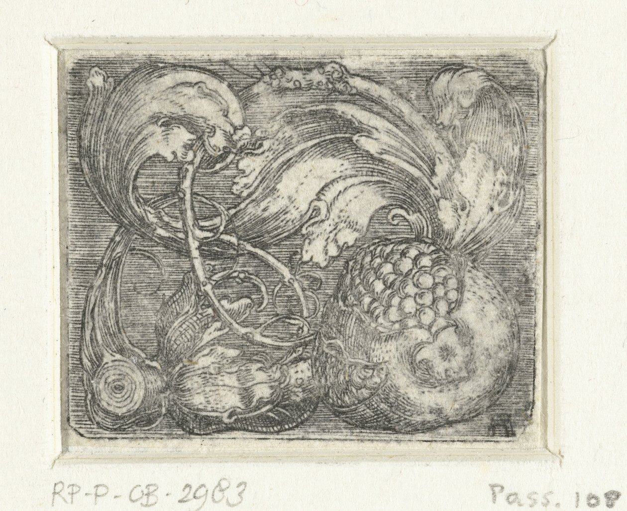 Granatäpple och lövrankor av Albrecht Altdorfer