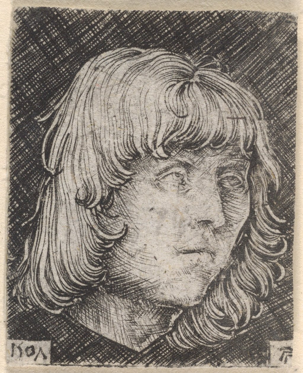 Huvudet på en ung man av Albrecht Altdorfer
