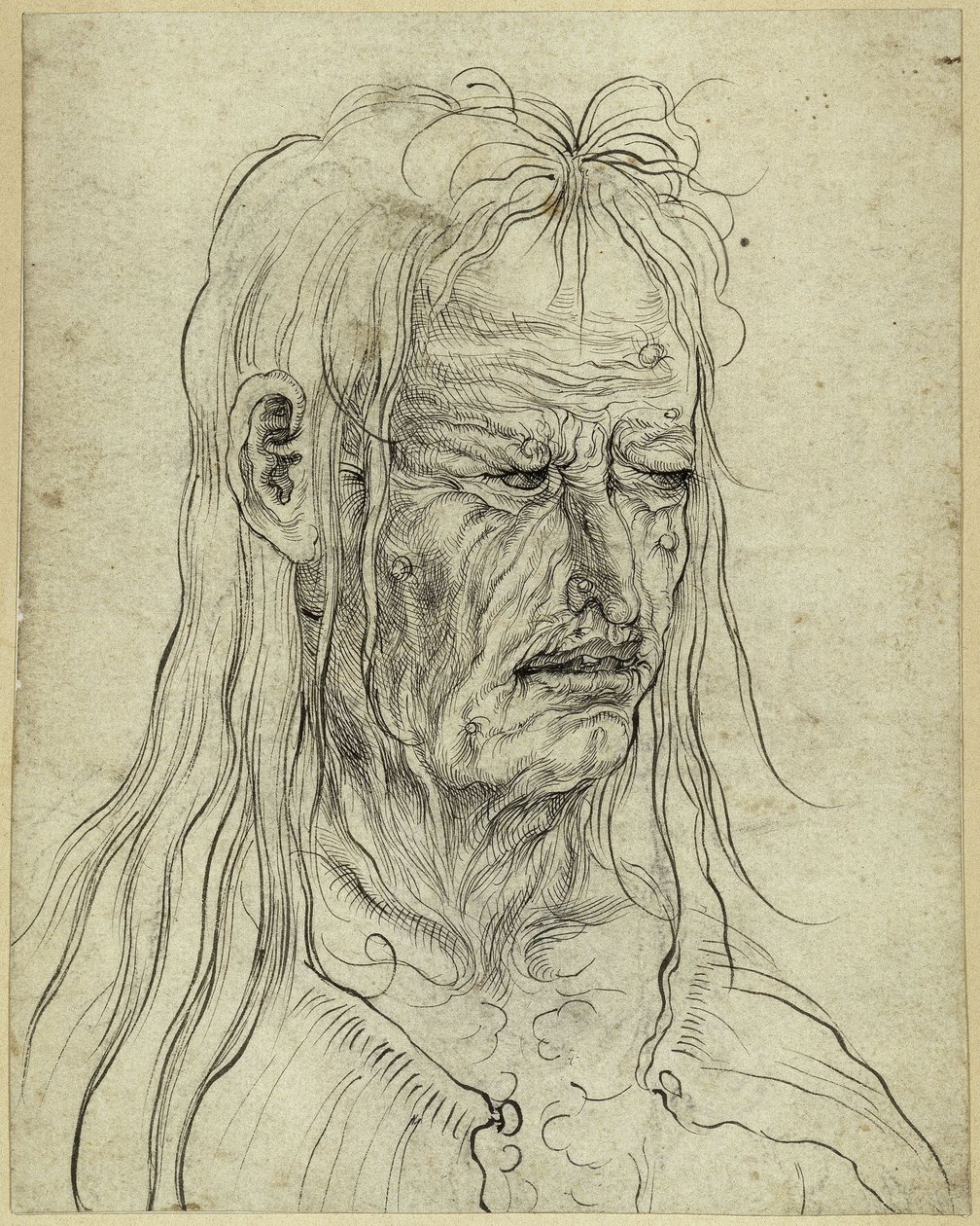 Huvudet på en ful gammal kvinna, åt höger av Albrecht Altdorfer