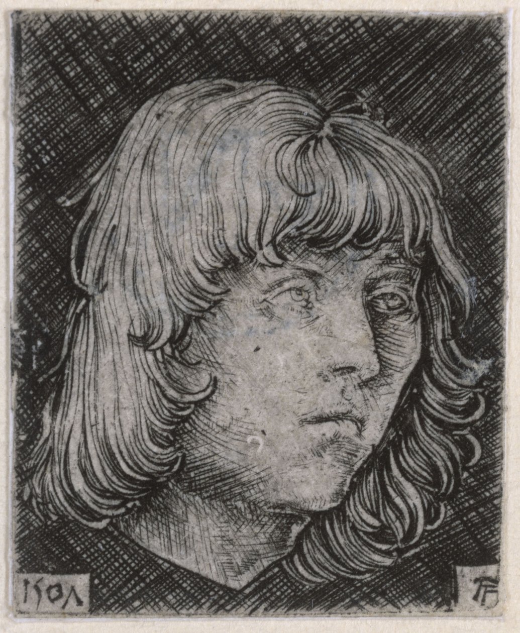 Huvud av en ung man av Albrecht Altdorfer