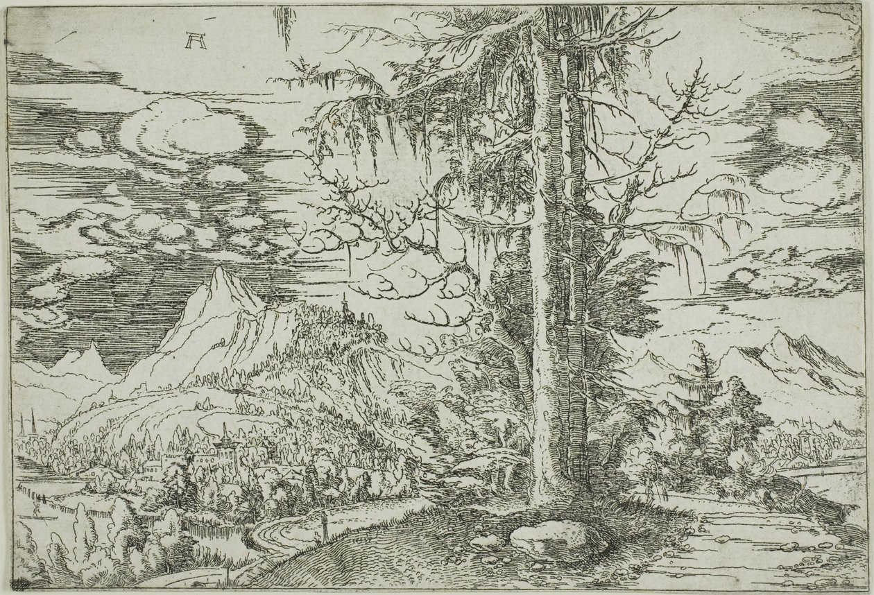 Landskap med en dubbel gran av Albrecht Altdorfer