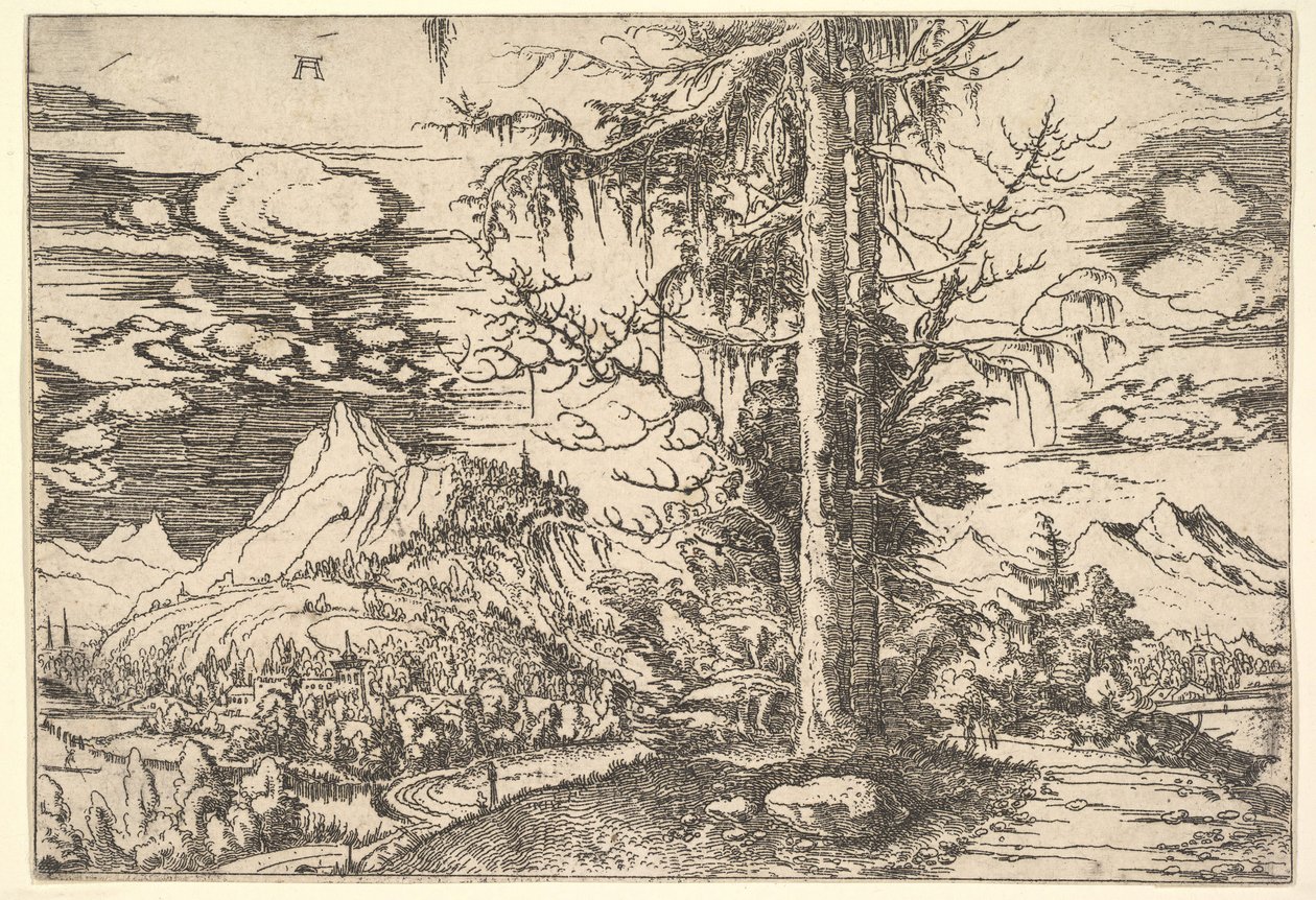 Landskap med dubbelgran, ca. 1521-22. av Albrecht Altdorfer