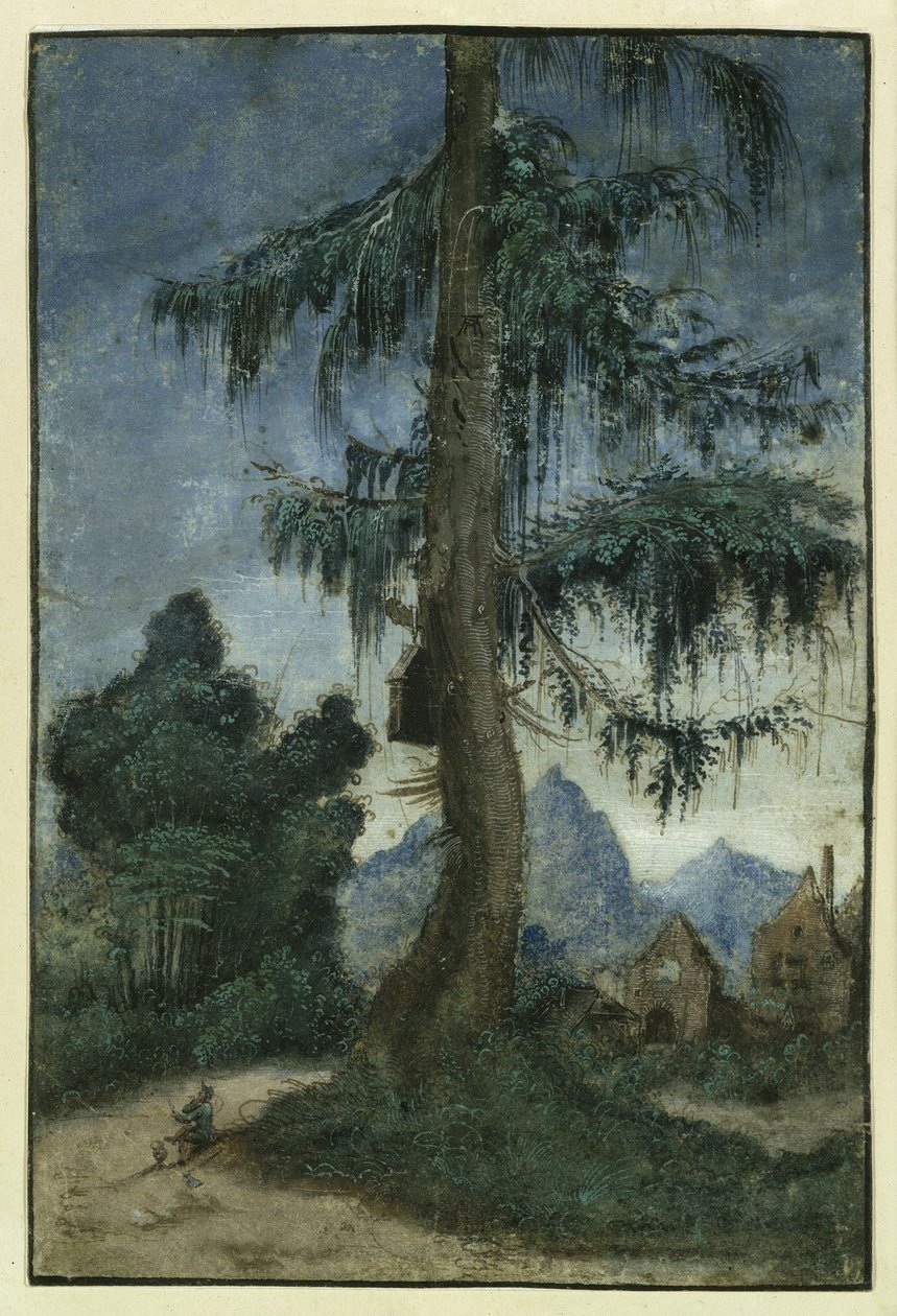 Landskap med gran av Albrecht Altdorfer