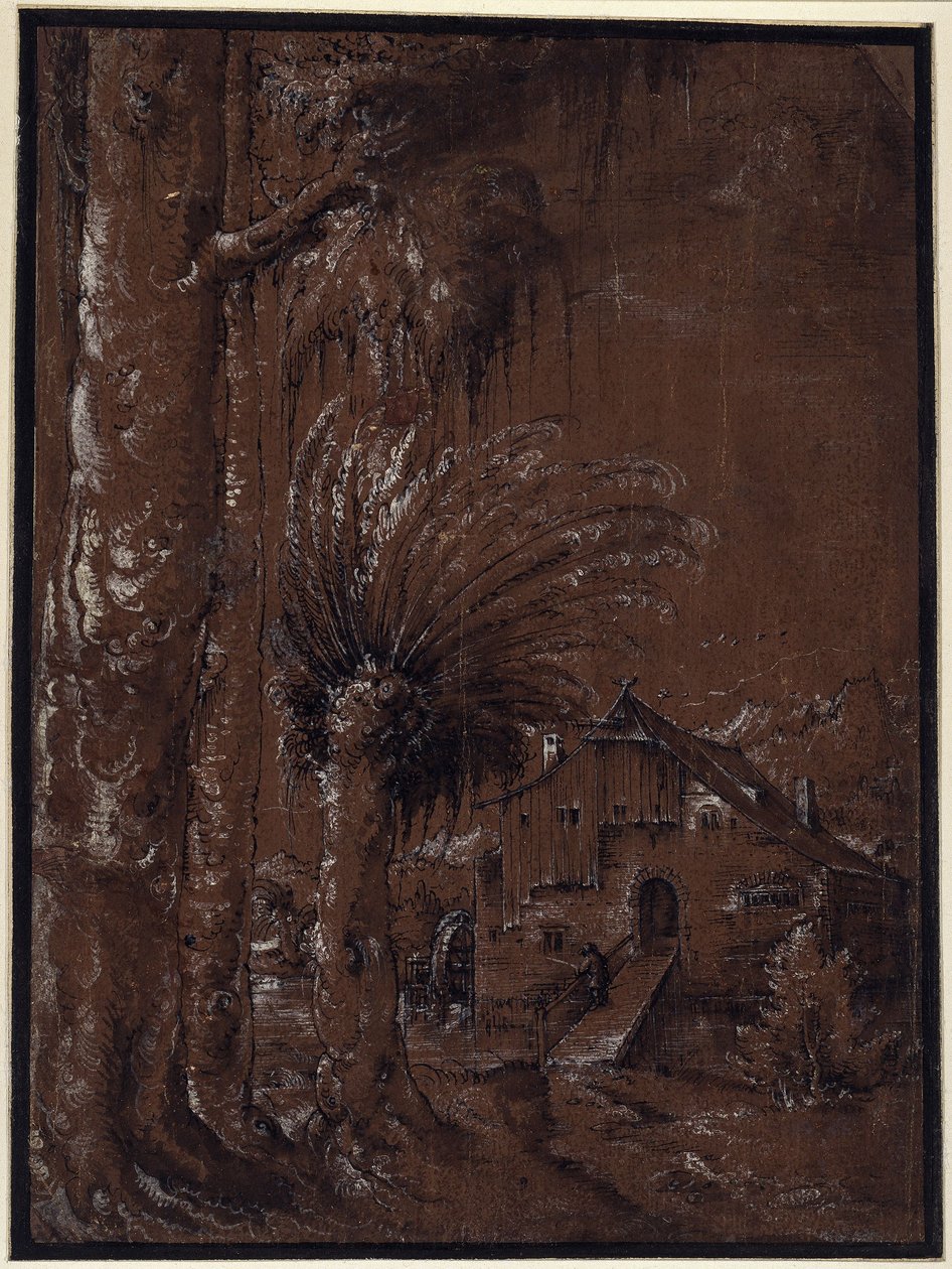 Landskap med vattenkvarn av Albrecht Altdorfer