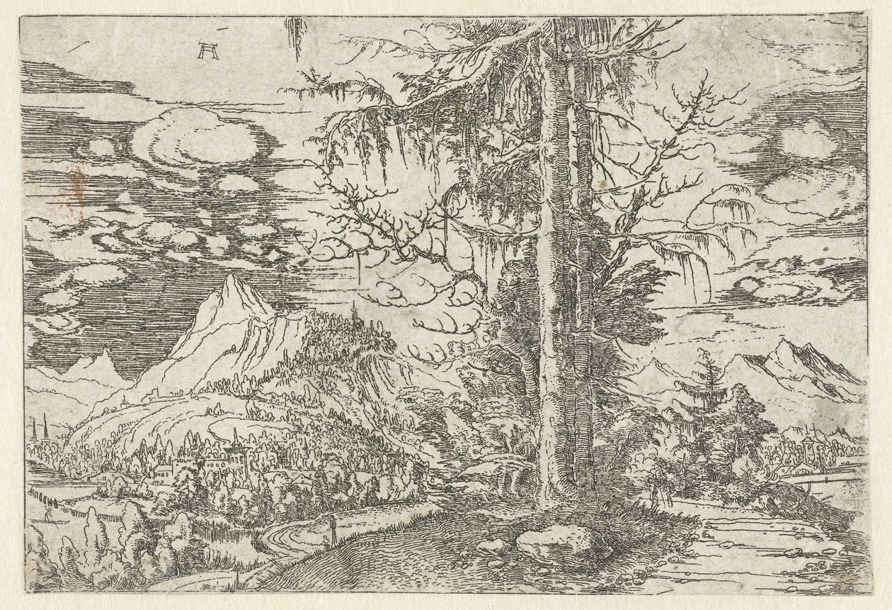 Landskap med dubbelgran av Albrecht Altdorfer