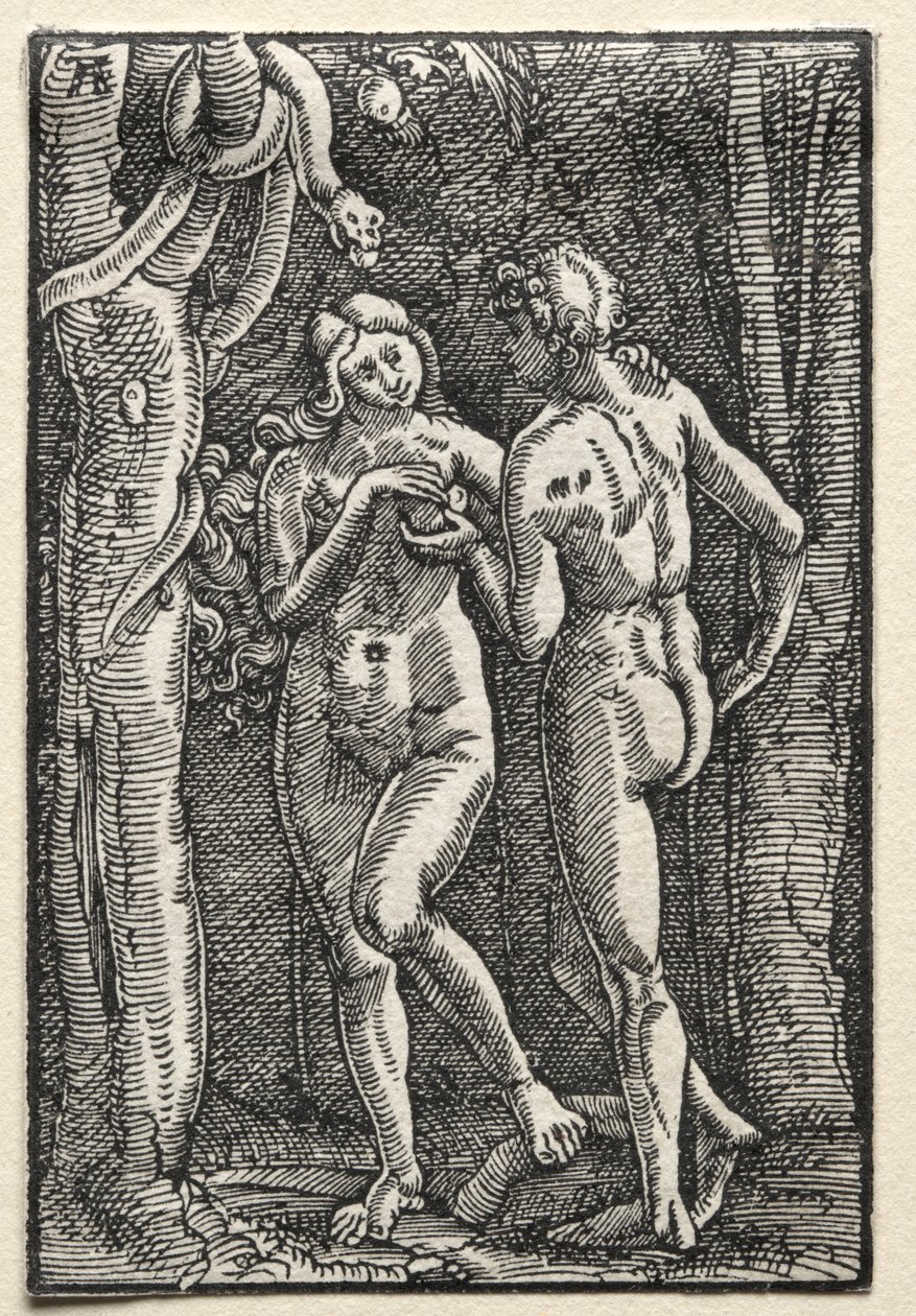 Människans fall och återlösning: Adam och Eva äter den förbjudna frukten, ca. 1515. av Albrecht Altdorfer