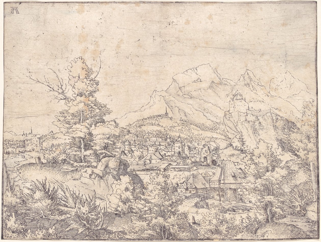 Det stora landskapet med vattenkvarnen av Albrecht Altdorfer