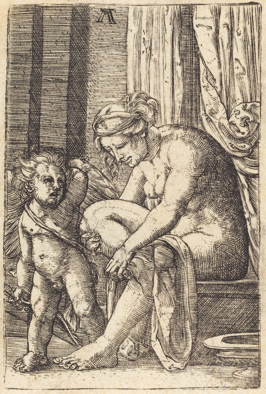 Venus efter badet av Albrecht Altdorfer