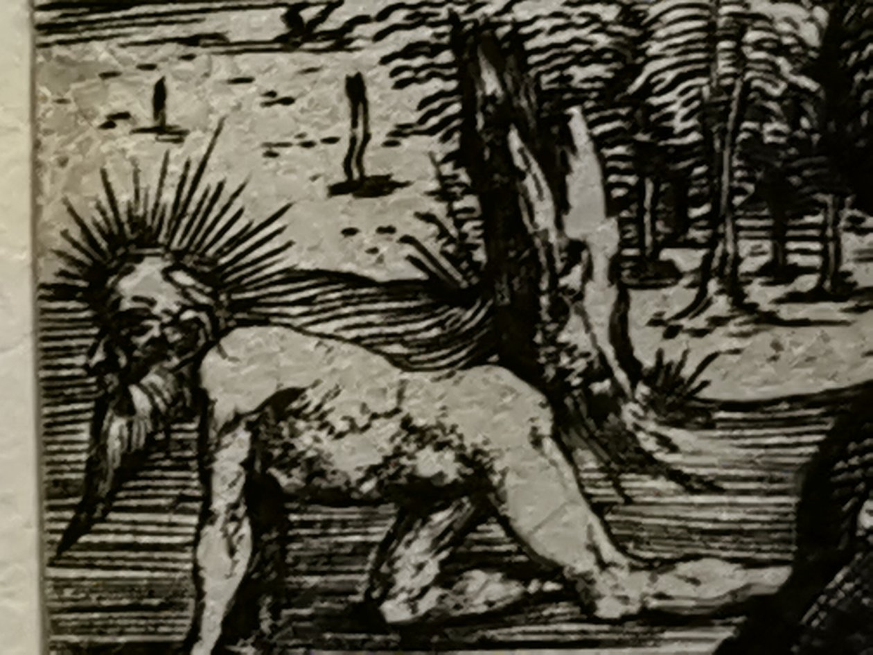 2021 - Andra batchen av Mateus2019 från juli (72) av Albrecht Dürer