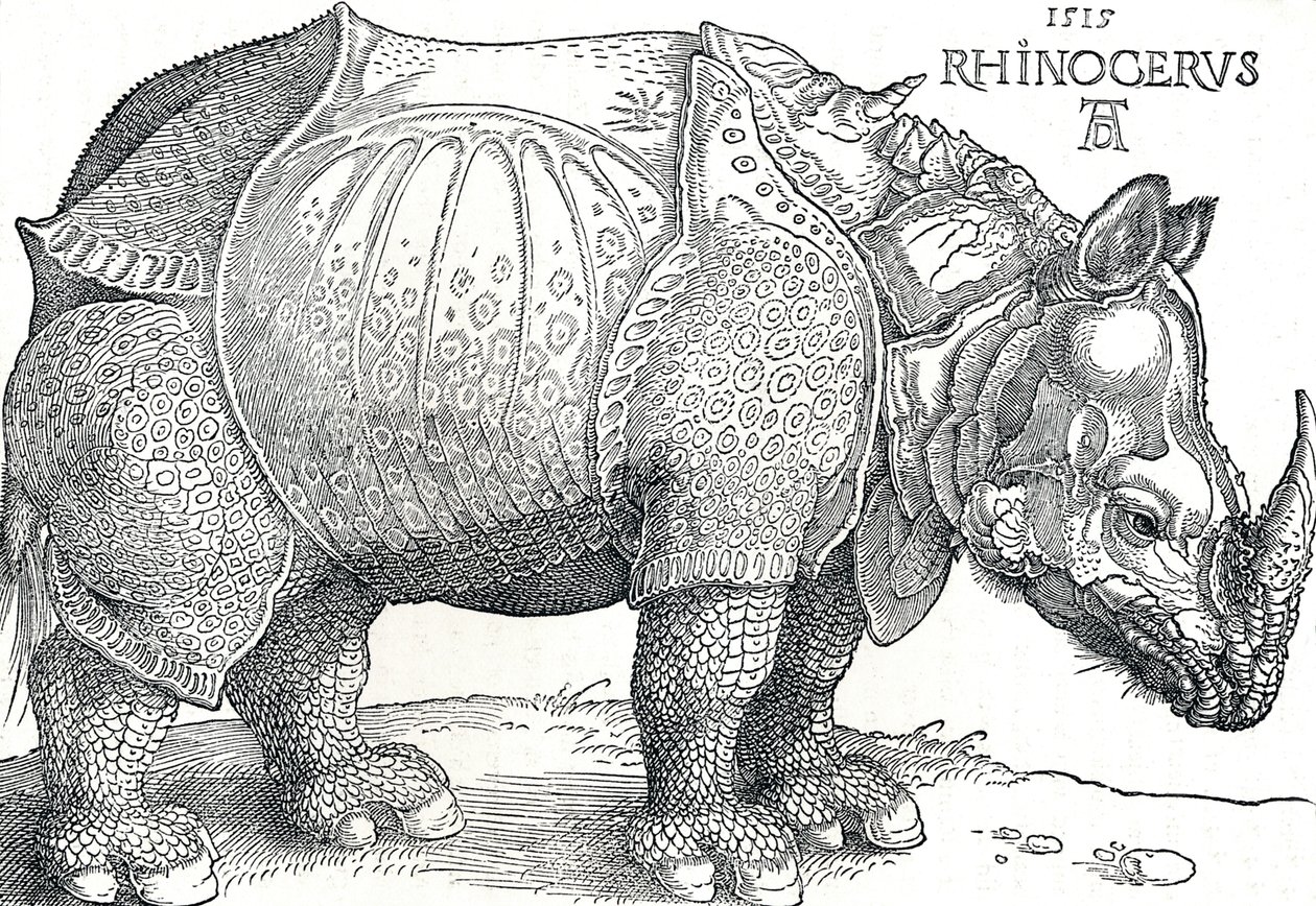 En noshörning, 1515, 1906 av Albrecht Dürer