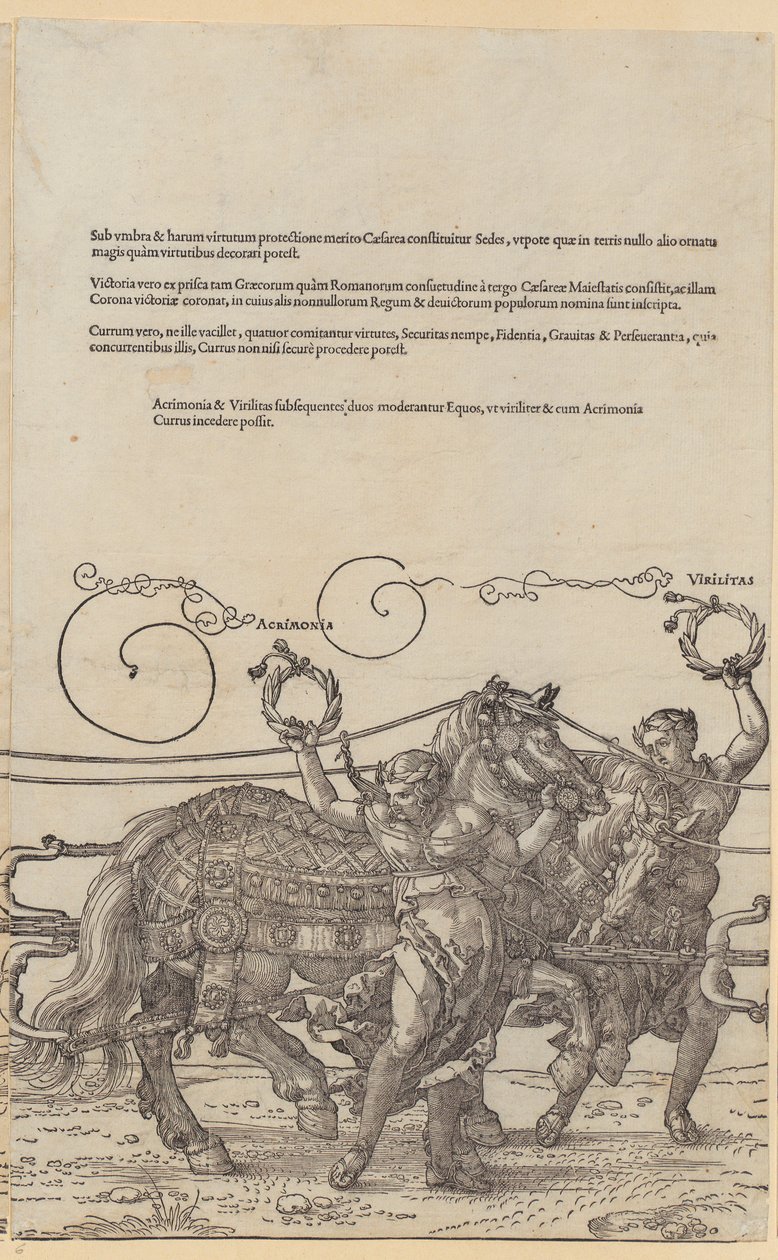 Acrimonia, blad 6 i serien ”Den stora triumfvagnen” av Albrecht Dürer