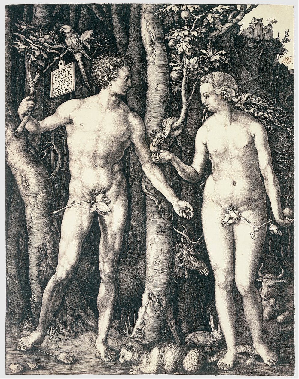 Arvsynd av Albrecht Dürer