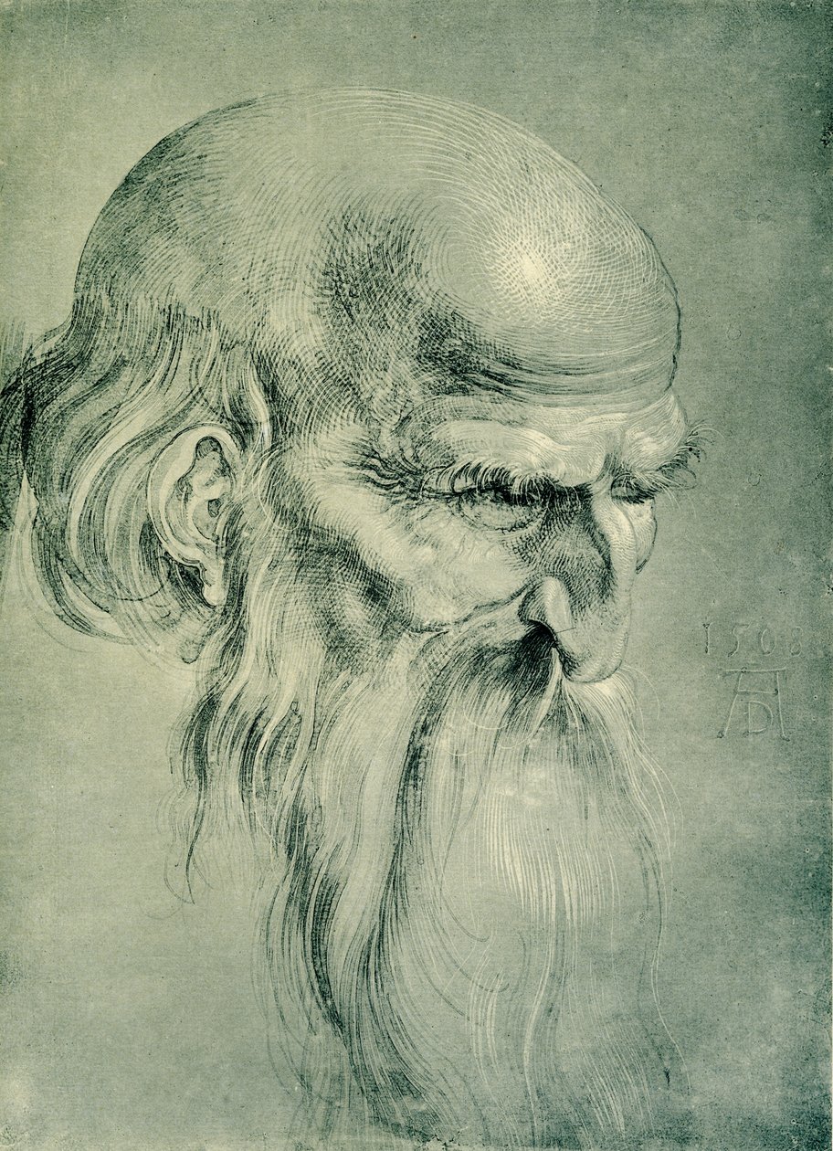Apostelhuvud av Albrecht Dürer