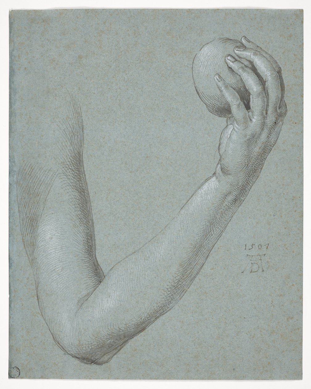 Evas arm av Albrecht Dürer