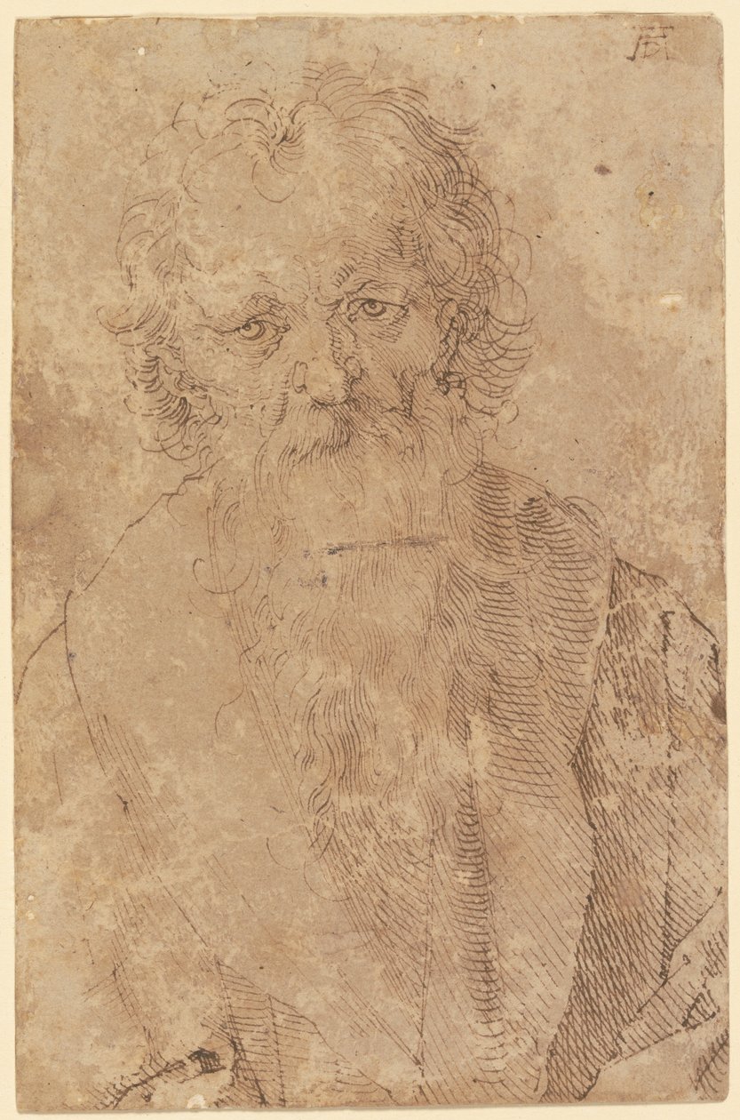 Skäggig gammal man av Albrecht Dürer