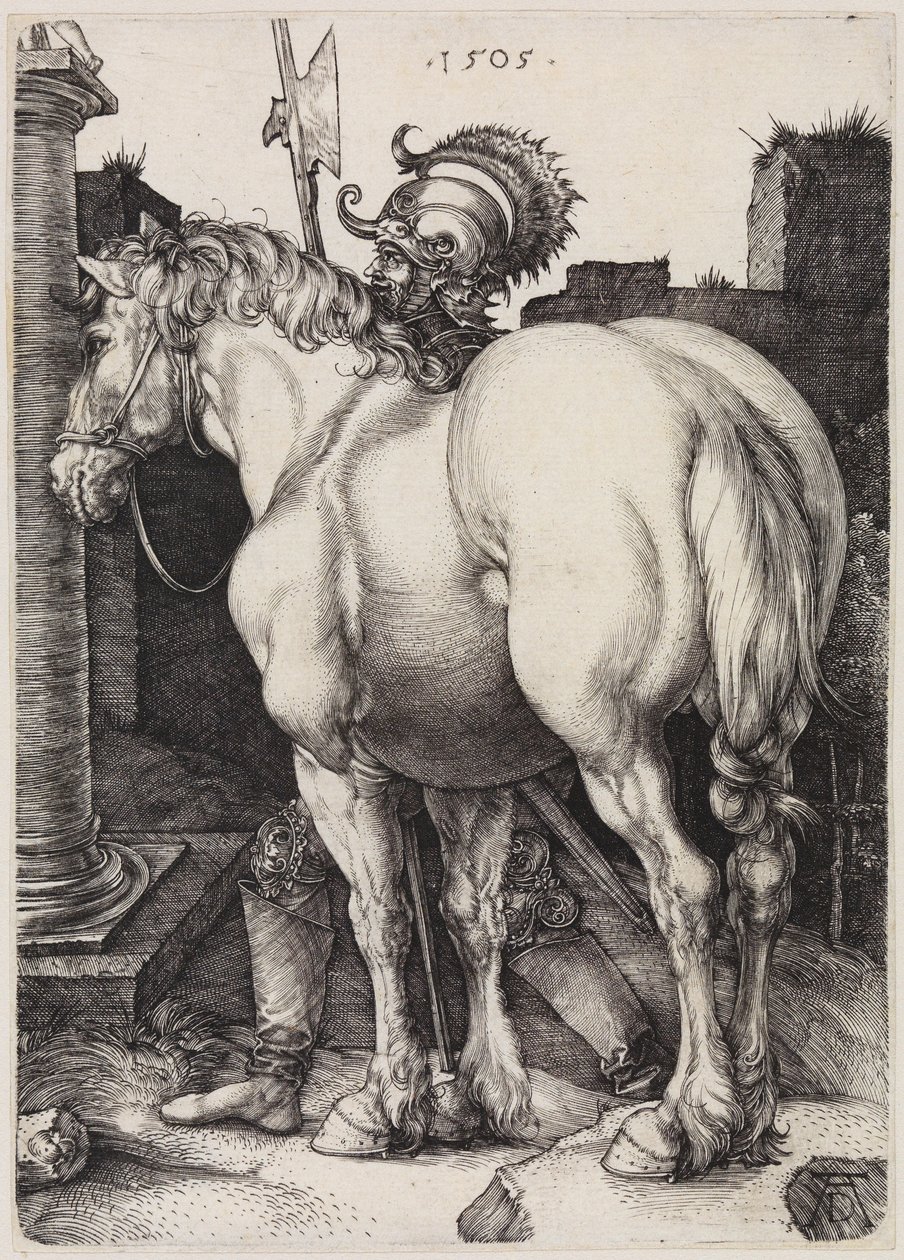 Den stora hästen av Albrecht Dürer
