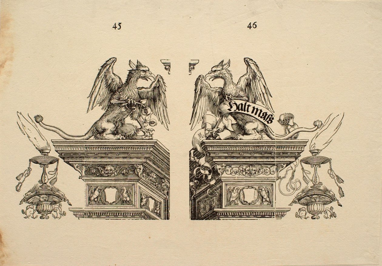 Detalj 45 och 46 av Albrecht Dürer